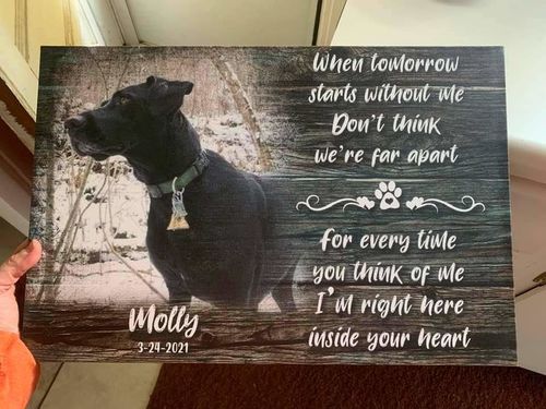 Customer photo review of When Tomorrow Starts Without Me, Free Personalization, Pet Loss Gift, Memorial Frame, Cat, Dog Memorial Gift, Pet Sympathy Bereavement