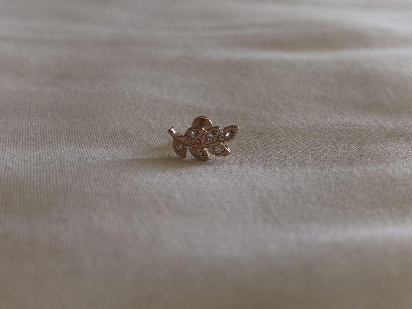 Customer photo review of Piercing Hojita de Laurel Rosca Plana