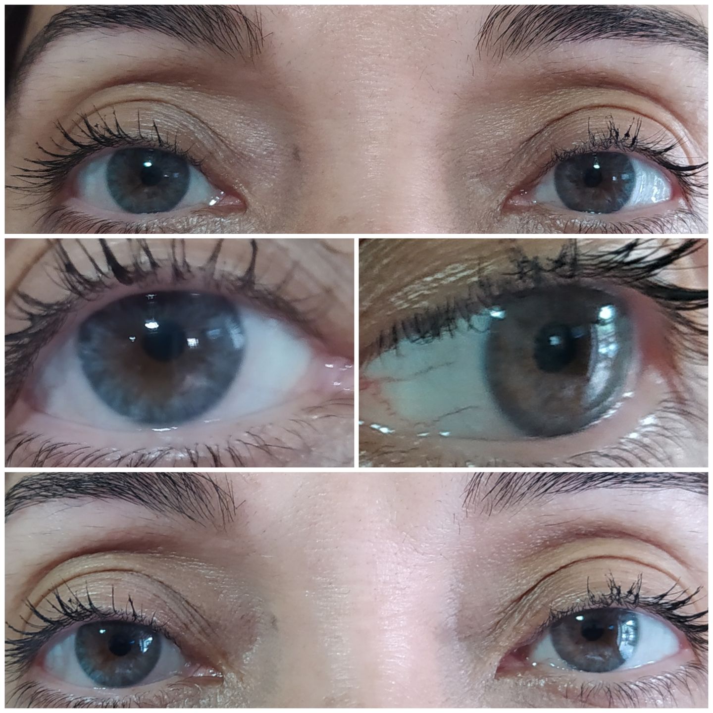 Customer photo review of Siesta Crystal Iris Blue
