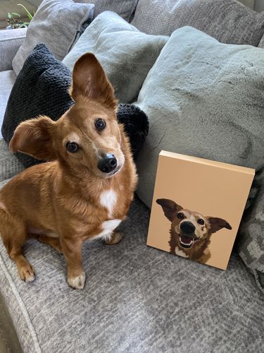 Customer photo review of Custom Wrapped PetCanva