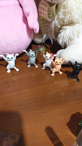 Customer photo review of Mochi Cat Holder(Pack of 5)