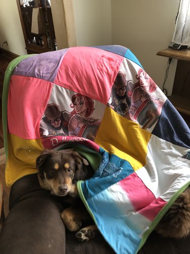 T-shirt quilt by Colleen  from NY