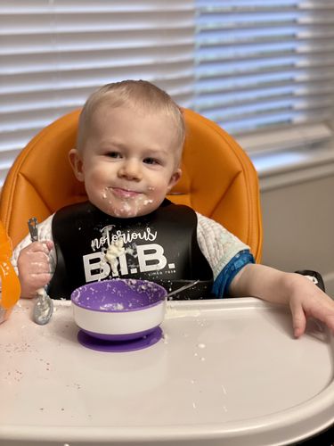 Customer photo review of Holle Organic Baby Semolina Cereal Porridge - Griess Semoule