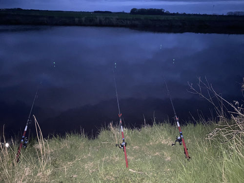 Customer photo review of 5g Smart Fishing Float