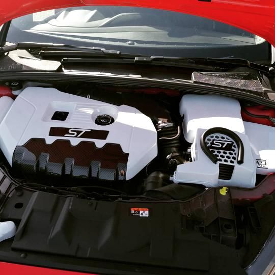 Customer photo review of Dipstick - Focus MK3 Petrol ST/ RS