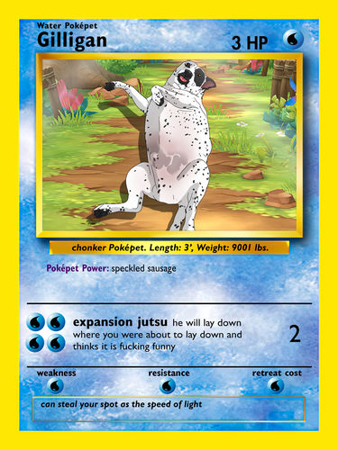 Customer photo review of PokePet Canvas