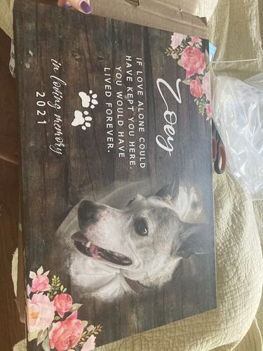 Customer photo review of Personalized Pet Memorial Printed, Dog Loss Gift, Dog Memorial Frame, Pet Loss Gift Dog, Pet Memorial