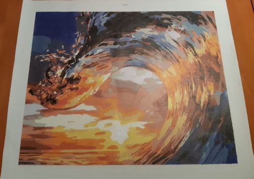 Customer photo review of Ola