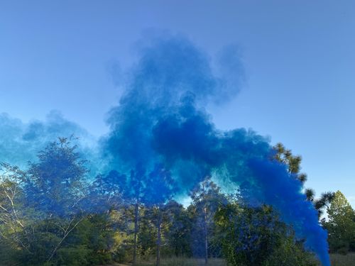 Customer photo review of Gender Reveal Smoke Bombs [Pink or Blue] Ring Pull (90 Sec) Discreet Label