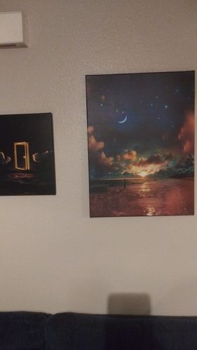 Customer photo review of Beach by Starlight Canvas Set