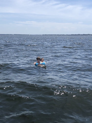 Customer photo review of 4-In-1 Ultimate Water Lounger