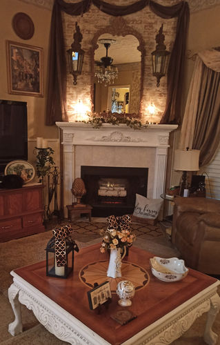 Customer photo review of Dimplex Revillusion 20" Electric Birchwood Log Insert