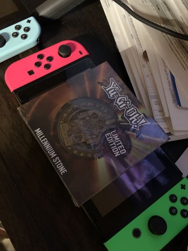 Customer photo review of Millennium Stone