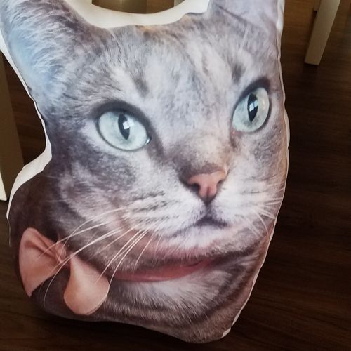 Customer photo review of Create A Custom Cat Pillow
