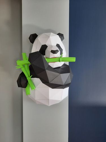 Customer photo review of Panda