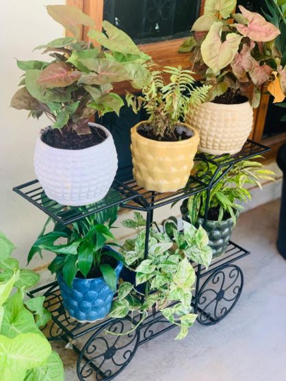 Customer photo review of 6-Tier Cart Planter Stand, Outdoor Flower Rack