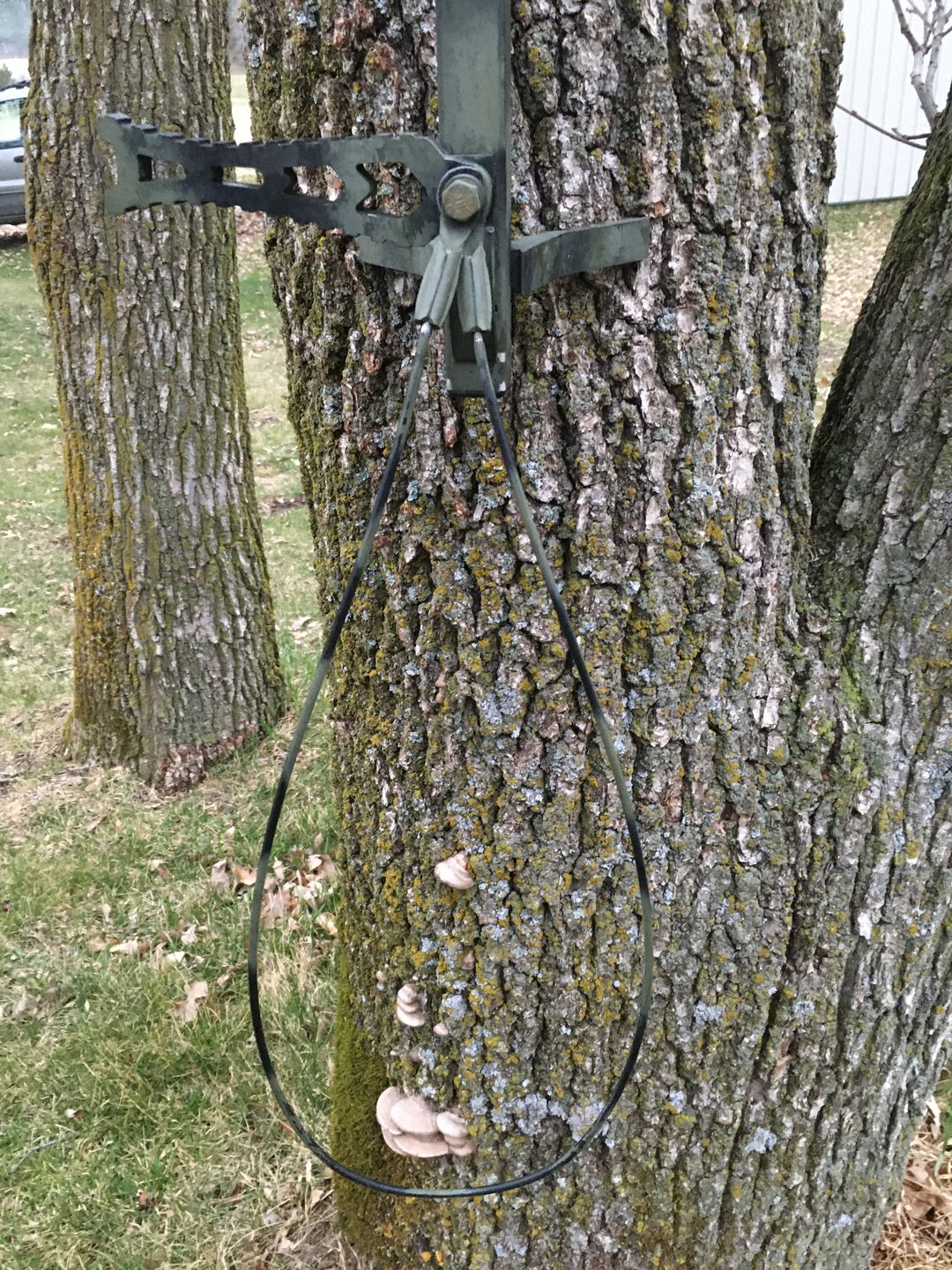 Customer photo review of Cable Aider™️