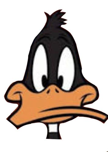 Customer photo review of [USA] AirQUEEN BREEZE