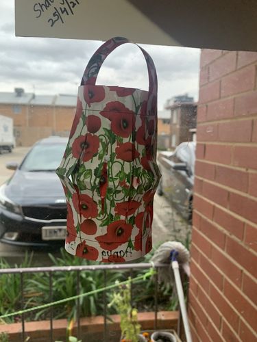 Customer photo review of ANZAC Day Printable: Lantern Activity for for 2-6yo