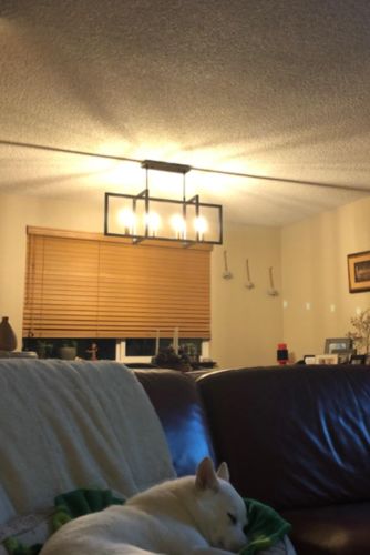 Customer photo review of Mid-Century Black 4 / 6 Light Rectangle Chandelier