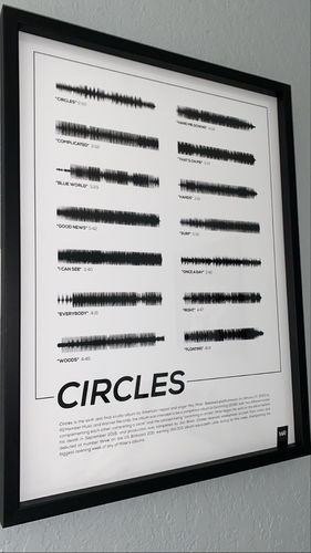 Customer photo review of "Circles" by Mac Miller