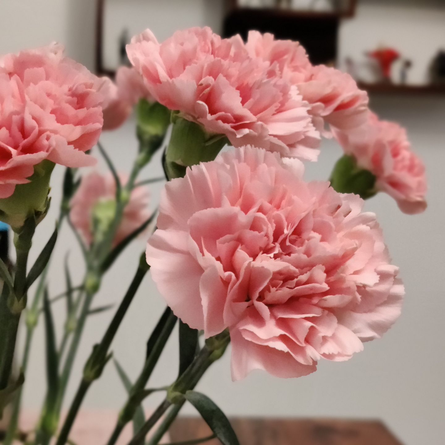 Customer photo review of Subscribe to Cut Flowers - Basics