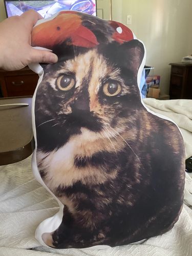 Customer photo review of Create A Custom Cat Pillow