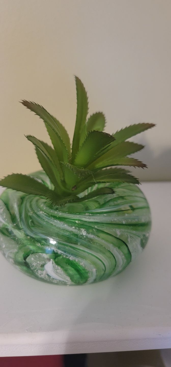 Customer photo review of Medium Air Plant Planter with Cremation Ashes
