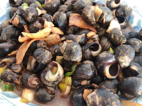 Customer photo review of River Snail 新鲜石螺 已剪尾处理 (1.5-1.8磅/LB)