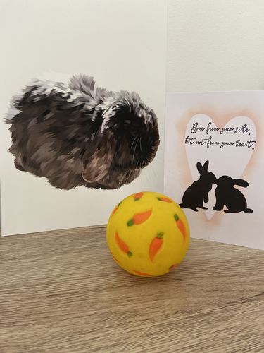 Customer photo review of One-Pet Portrait
