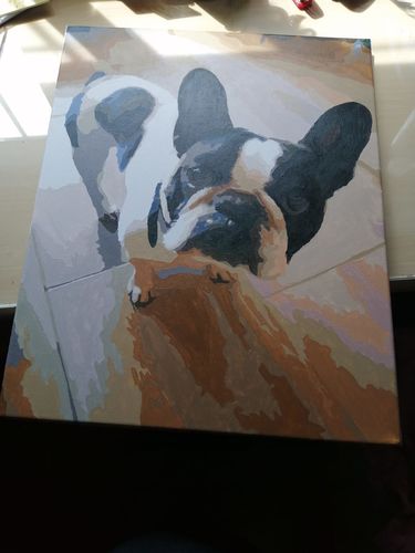 Customer photo review of Pintar por numeros personalizado