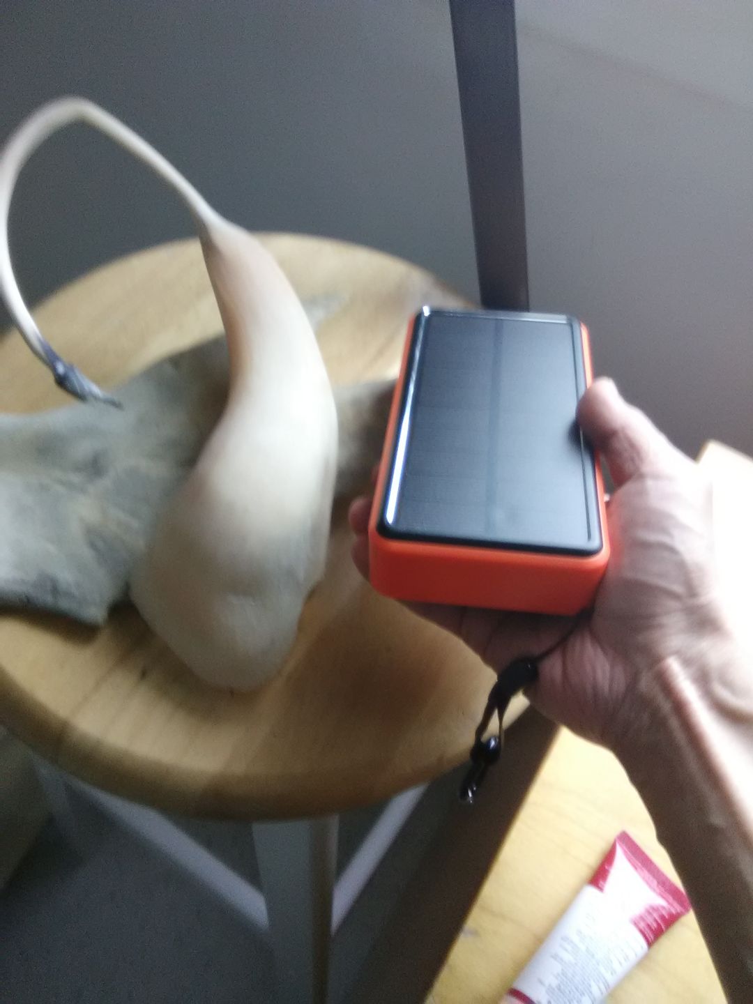 Customer photo review of Ultimate Wireless Waterproof Solar Powerbank 50,000 mAh