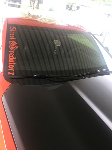 Customer photo review of One Custom Air Freshener