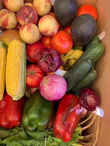 Customer photo review of Palta Hass Nacional