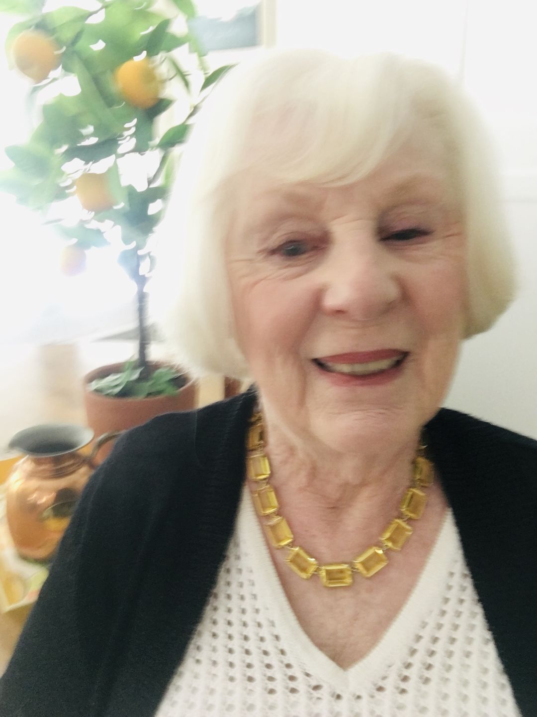 Customer photo review of Heidi Daus®"The Devil Wears Heidi" Crystal Petite Necklace