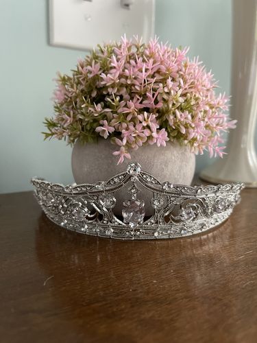 Customer photo review of Silver Shine Tiara