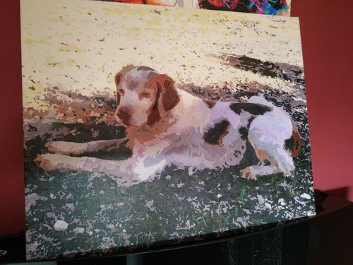 Customer photo review of Pintar por numeros personalizado