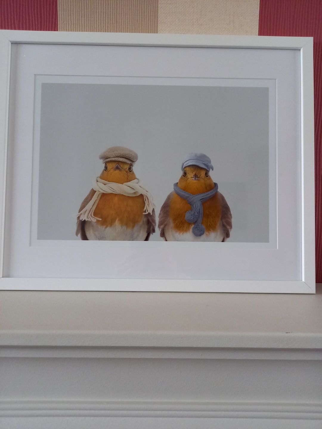 Customer photo review of Mr & Mrs Robin Print