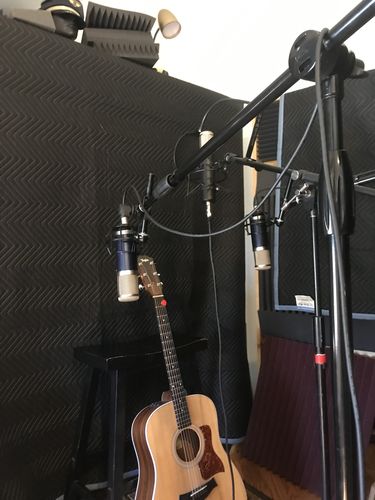 Customer photo review of Delphos II Condenser Microphone