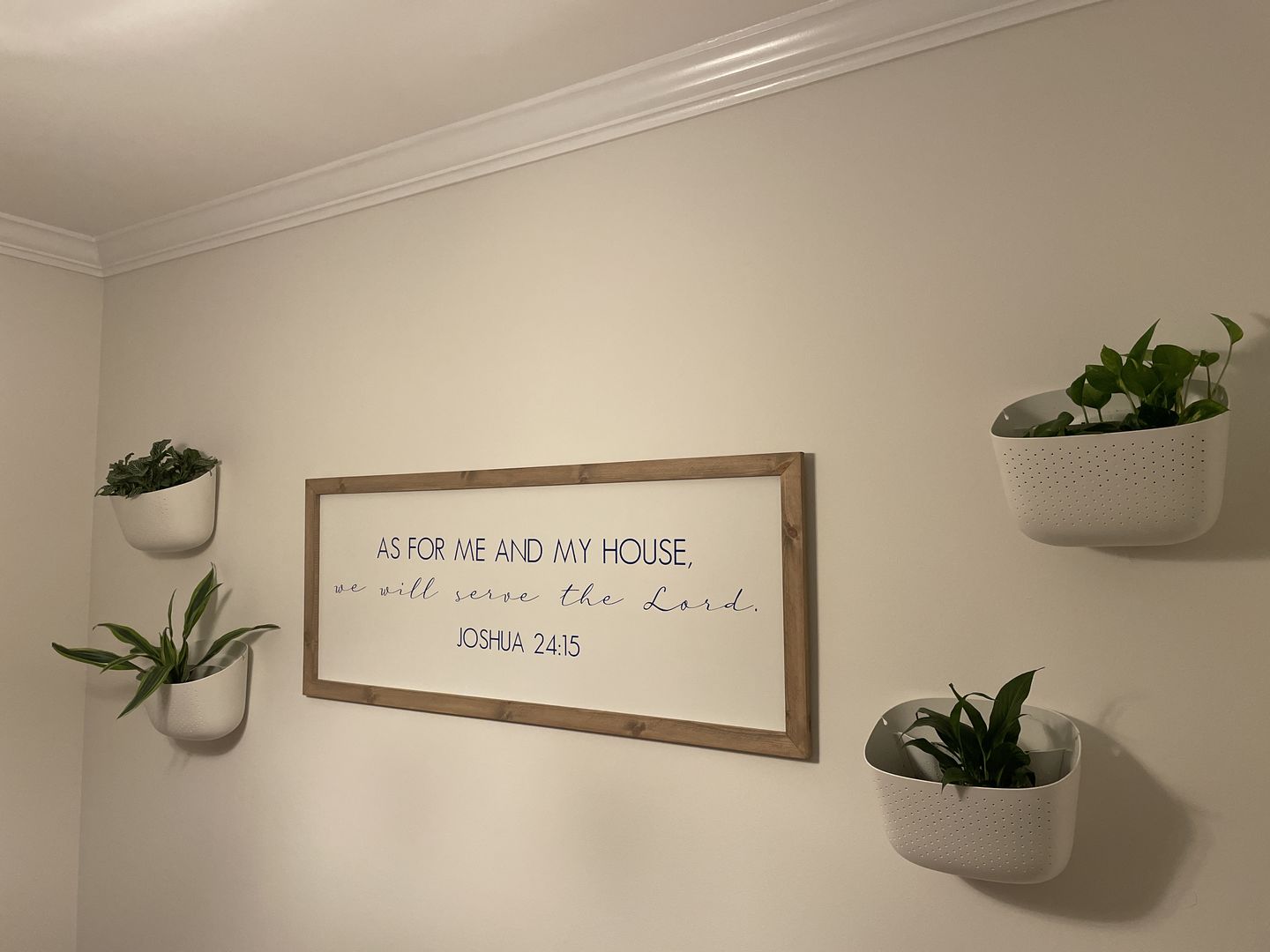 Customer photo review of Eco White Wall Planter