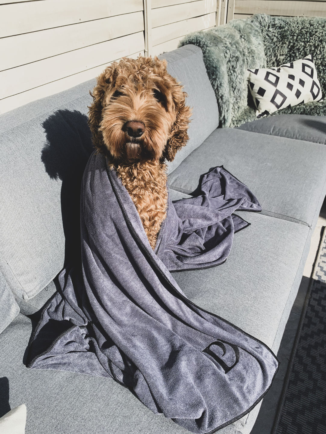Customer photo review of Luxury Dog Towel
