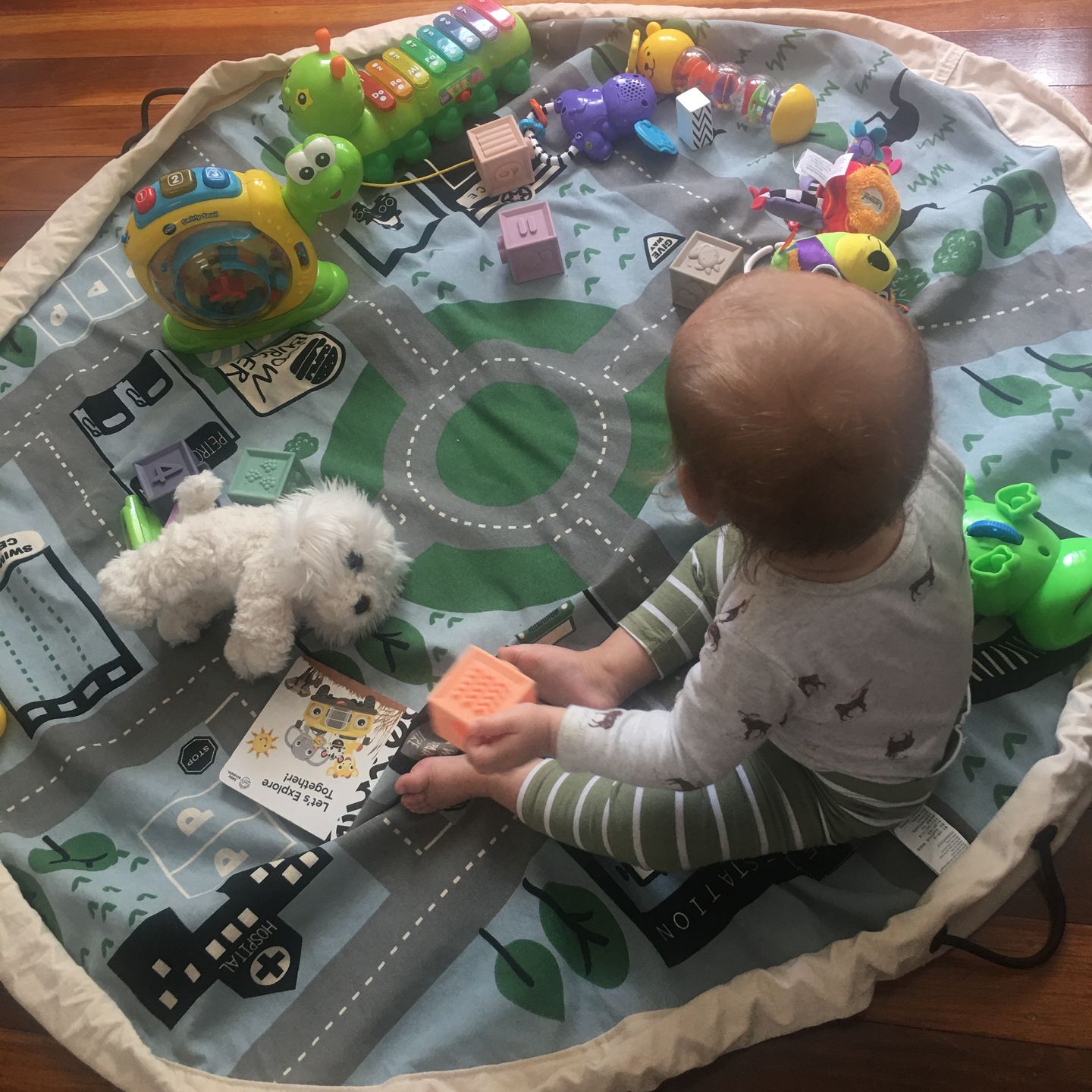 Customer photo review of Wow Town Track Play Pouch