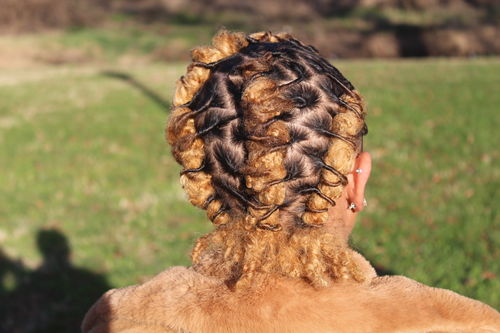 Customer photo review of Braids, Loc & Twist Firm Hold Pomade | 4 oz+