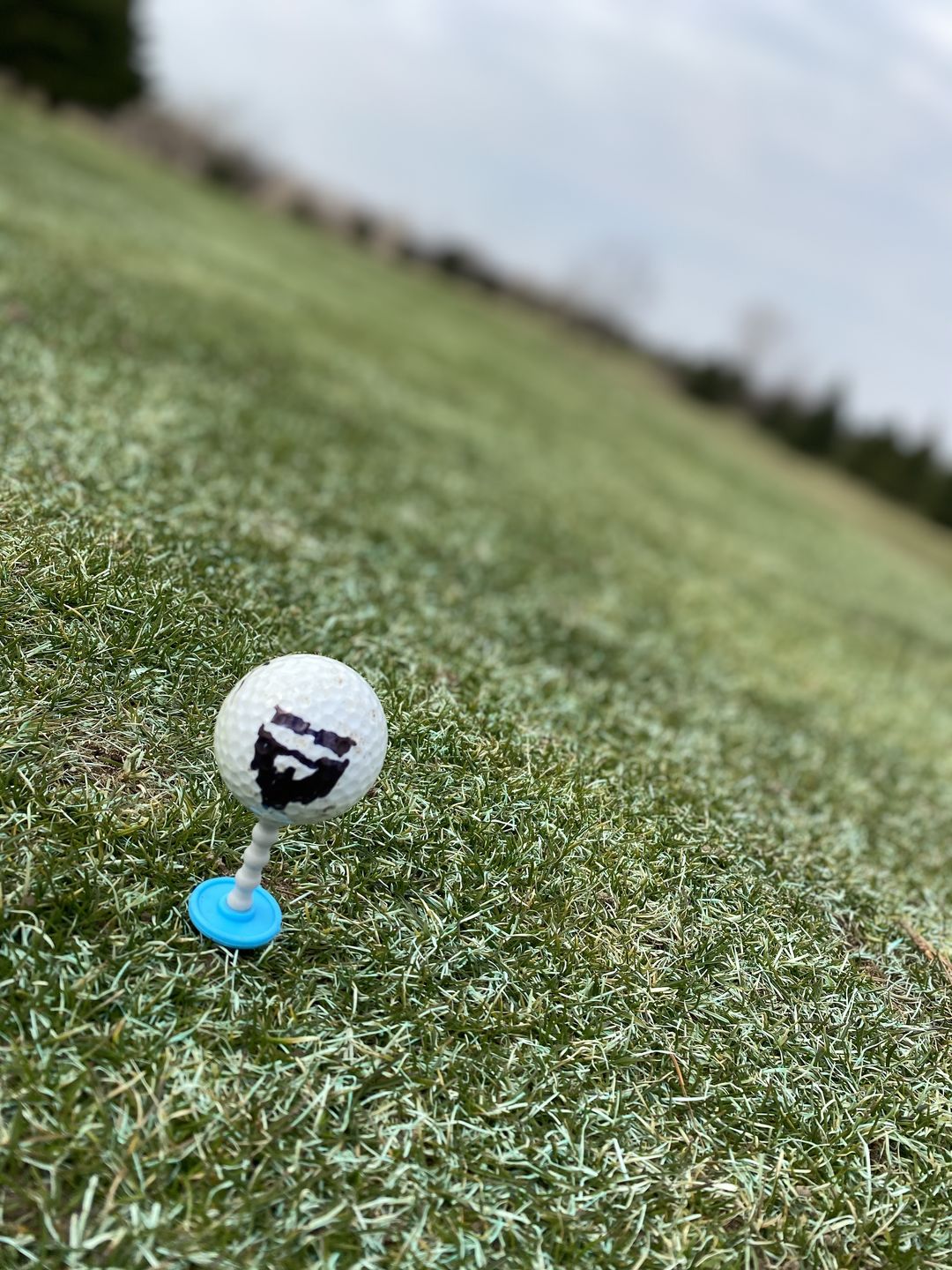 Customer photo review of Telos Premium Golf Tees