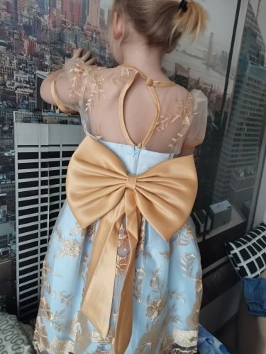 Customer photo review of Embroidery Flower Bow Puffy Princess Dress