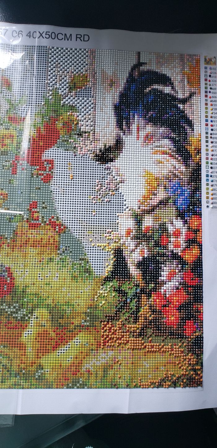 Customer photo review of Chickens - Diamond Painting Kit