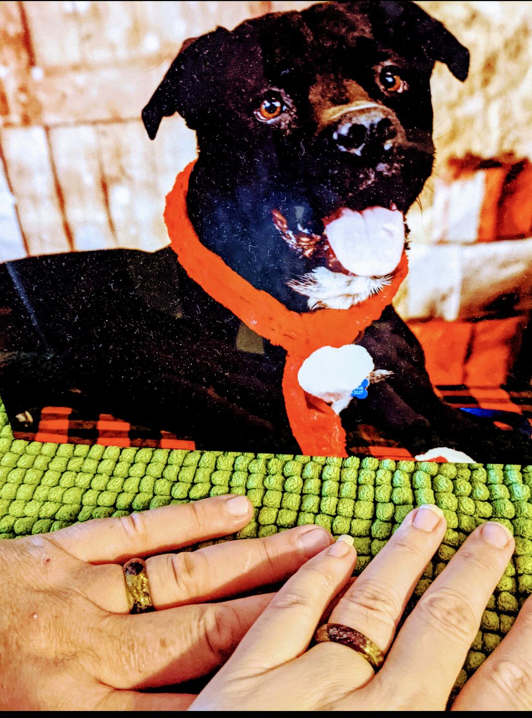 Customer photo review of Red Rose Moss Ring with Cremation Ash and Gold Flakes