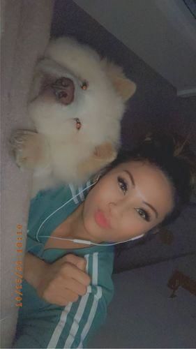 Customer photo review of [US Warehouse] Hidrocor AMBAR Brown Colored Contact Lenses