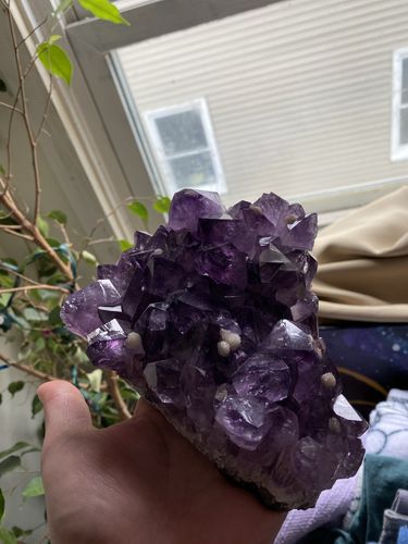 Customer photo review of @eloyah