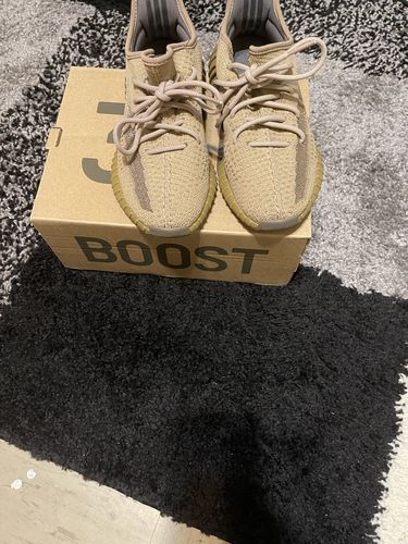 Customer photo review of adidas Yeezy Boost 350 V2 Earth